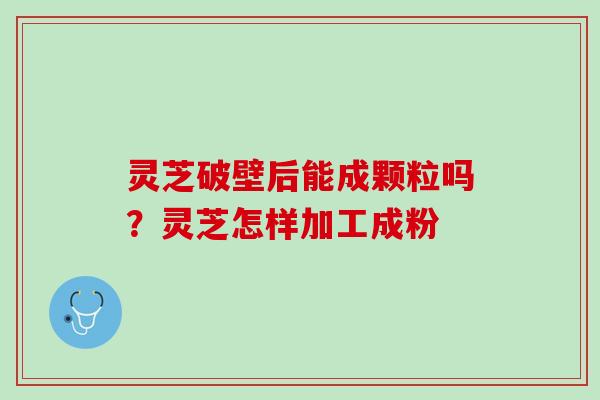 灵芝破壁后能成颗粒吗?灵芝怎样加工成粉 灵芝破壁后能成颗粒吗?灵芝怎样加工成粉