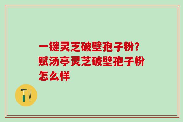 一键灵芝破壁孢子粉？赋汤亭灵芝破壁孢子粉怎么样