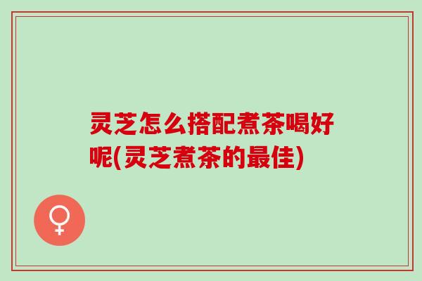 灵芝怎么搭配煮茶喝好呢(灵芝煮茶的最佳)