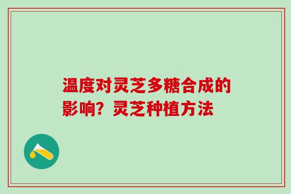 温度对灵芝多糖合成的影响?灵芝种植方法 温度对灵芝多糖合成的影响?灵芝种植方法