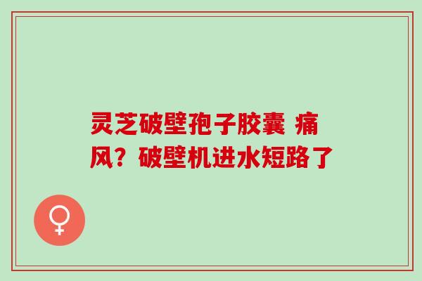 灵芝破壁孢子胶囊 痛风？破壁机进水短路了