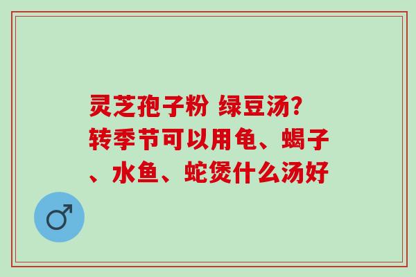 灵芝孢子粉 绿豆汤？转季节可以用龟、蝎子、水鱼、蛇煲什么汤好