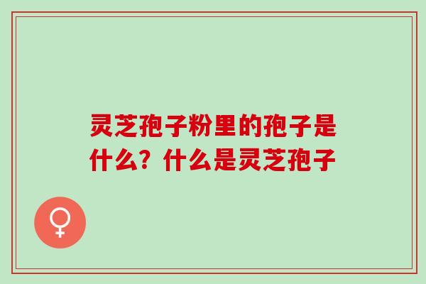 灵芝孢子粉里的孢子是什么？什么是灵芝孢子