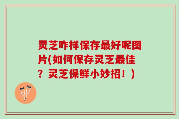 灵芝咋样保存好呢图片(如何保存灵芝佳?灵芝保鲜小妙招!) 灵芝咋样保存好呢图片(如何保存灵芝佳?灵芝保鲜小妙招!)