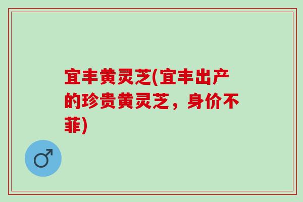 宜丰黄灵芝(宜丰出产的珍贵黄灵芝，身价不菲)