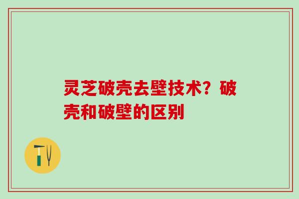 灵芝破壳去壁技术?破壳和破壁的区别 灵芝破壳去壁技术?破壳和破壁的区别