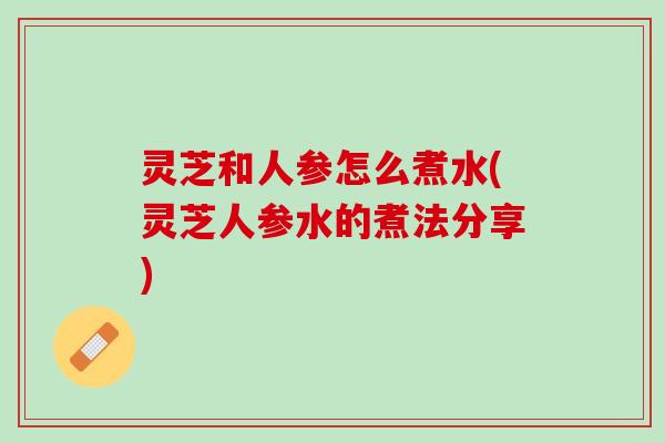 灵芝和人参怎么煮水(灵芝人参水的煮法分享)
