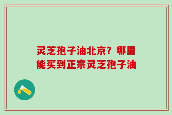 灵芝孢子油北京？哪里能买到正宗灵芝孢子油