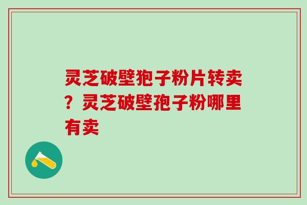 灵芝破壁狍子粉片转卖？灵芝破壁孢子粉哪里有卖