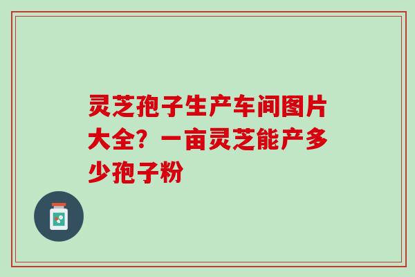 灵芝孢子生产车间图片大全?一亩灵芝能产多少孢子粉 灵芝孢子生产车间图片大全?一亩灵芝能产多少孢子粉