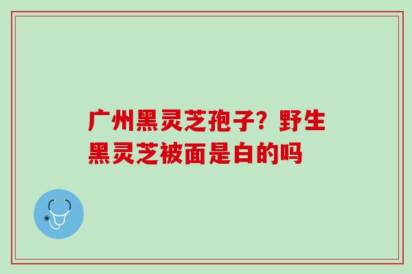 广州黑灵芝孢子?野生黑灵芝被面是白的吗 广州黑灵芝孢子?野生黑灵芝被面是白的吗