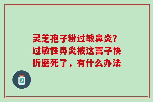 灵芝孢子粉过敏鼻炎？过敏性鼻炎被这蒿子快折磨死了，有什么办法