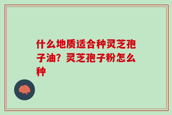 什么地质适合种灵芝孢子油？灵芝孢子粉怎么种
