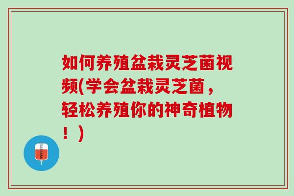 如何养殖盆栽灵芝菌视频(学会盆栽灵芝菌，轻松养殖你的神奇植物！)