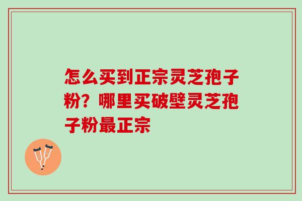 怎么买到正宗灵芝孢子粉?哪里买破壁灵芝孢子粉正宗 怎么买到正宗灵芝孢子粉?哪里买破壁灵芝孢子粉正宗