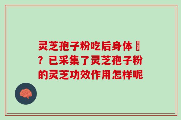 灵芝孢子粉吃后身体廋？已采集了灵芝孢子粉的灵芝功效作用怎样呢