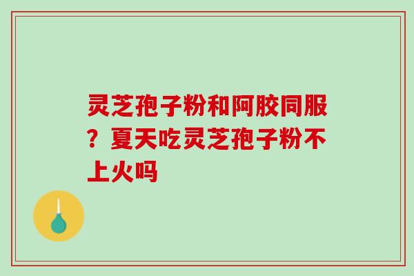 灵芝孢子粉和阿胶同服？夏天吃灵芝孢子粉不上火吗