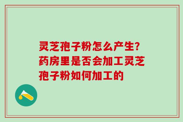 灵芝孢子粉怎么产生?药房里是否会加工灵芝孢子粉如何加工的 灵芝孢子粉怎么产生?药房里是否会加工灵芝孢子粉如何加工的