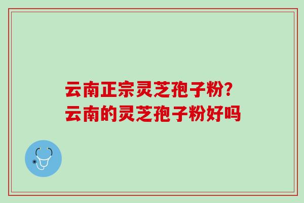 云南正宗灵芝孢子粉?云南的灵芝孢子粉好吗 云南正宗灵芝孢子粉?云南的灵芝孢子粉好吗