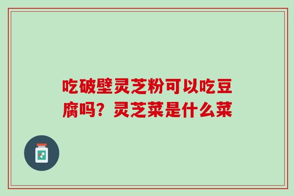 吃破壁灵芝粉可以吃豆腐吗？灵芝菜是什么菜