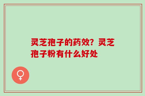 灵芝孢子的药效？灵芝孢子粉有什么好处