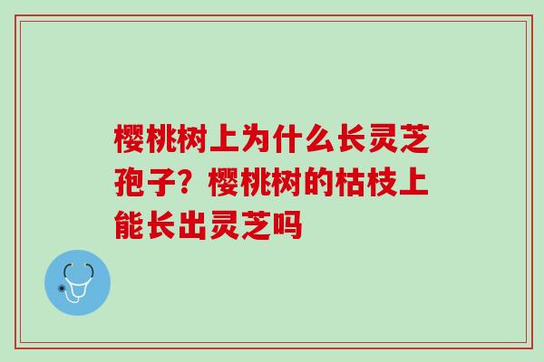 樱桃树上为什么长灵芝孢子？樱桃树的枯枝上能长出灵芝吗