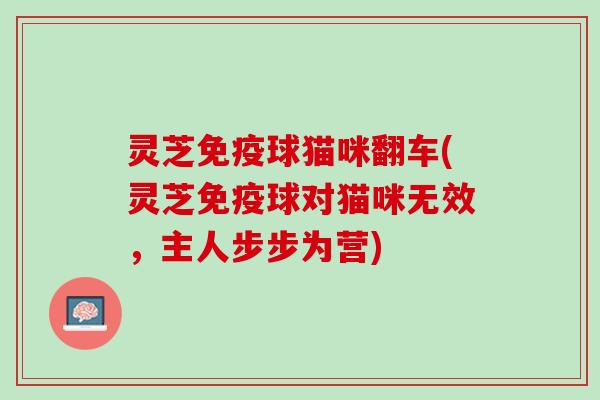 灵芝免疫球猫咪翻车(灵芝免疫球对猫咪无效，主人步步为营)