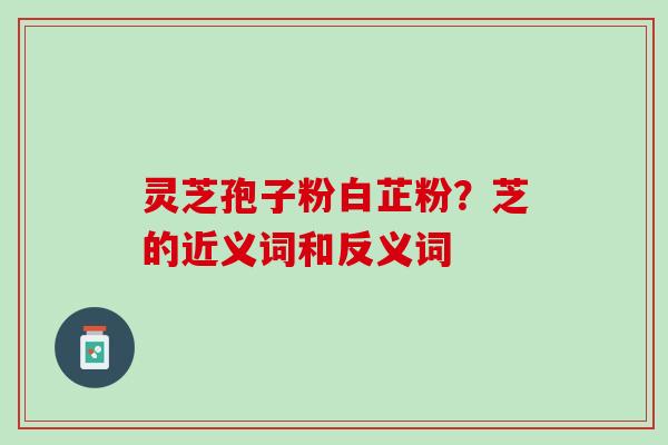 灵芝孢子粉白芷粉？芝的近义词和反义词