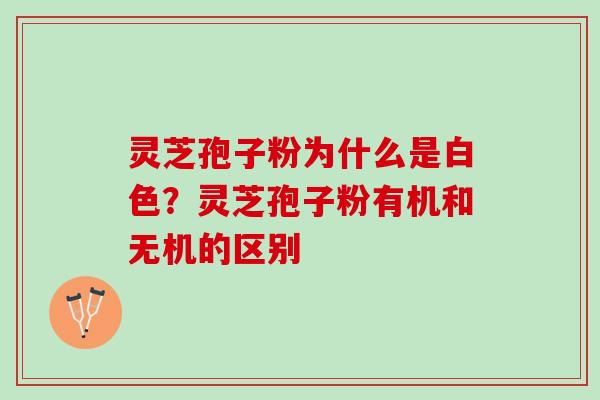 灵芝孢子粉为什么是白色？灵芝孢子粉有机和无机的区别
