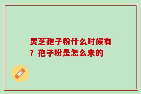 灵芝孢子粉什么时候有？孢子粉是怎么来的