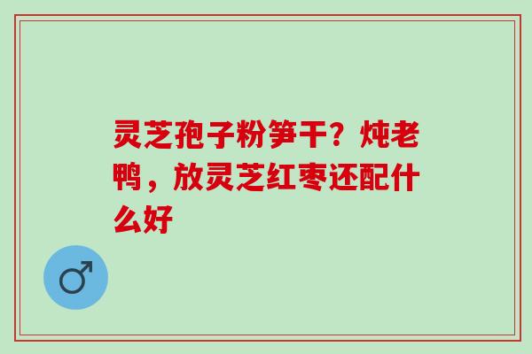 灵芝孢子粉笋干？炖老鸭，放灵芝红枣还配什么好