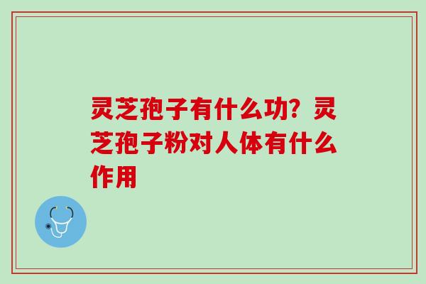 灵芝孢子有什么功？灵芝孢子粉对人体有什么作用