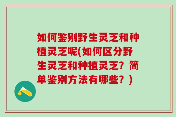 如何鉴别野生灵芝和种植灵芝呢(如何区分野生灵芝和种植灵芝?简单鉴别方法有哪些?) 如何鉴别野生灵芝和种植灵芝呢(如何区分野生灵芝和种植灵芝?简单鉴别方法有哪些?)