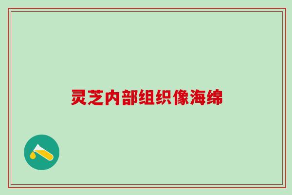 灵芝内部组织像海绵
