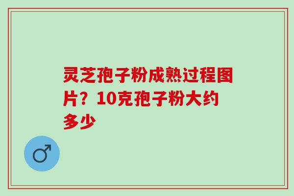 灵芝孢子粉成熟过程图片?10克孢子粉大约多少 灵芝孢子粉成熟过程图片?10克孢子粉大约多少