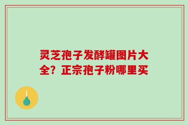 灵芝孢子发酵罐图片大全？正宗孢子粉哪里买