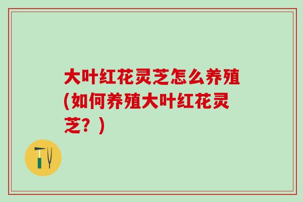 大叶红花灵芝怎么养殖(如何养殖大叶红花灵芝？)