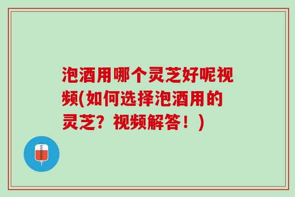 泡酒用哪个灵芝好呢视频(如何选择泡酒用的灵芝？视频解答！)