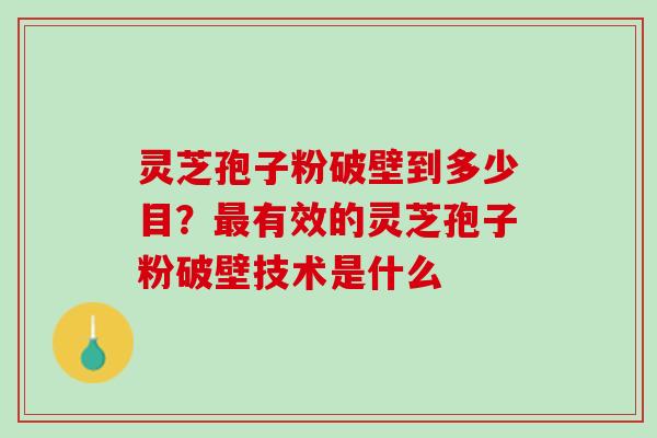 灵芝孢子粉破壁到多少目？最有效的灵芝孢子粉破壁技术是什么