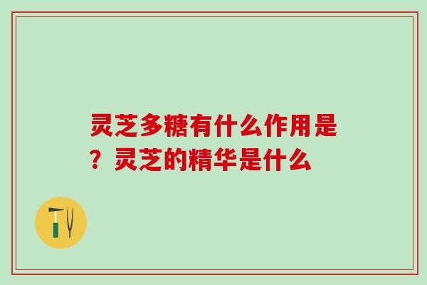 灵芝多糖有什么作用是?灵芝的精华是什么 灵芝多糖有什么作用是?灵芝的精华是什么