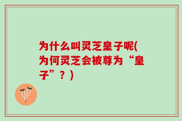 为什么叫灵芝皇子呢(为何灵芝会被尊为“皇子”?) 为什么叫灵芝皇子呢(为何灵芝会被尊为“皇子”?)