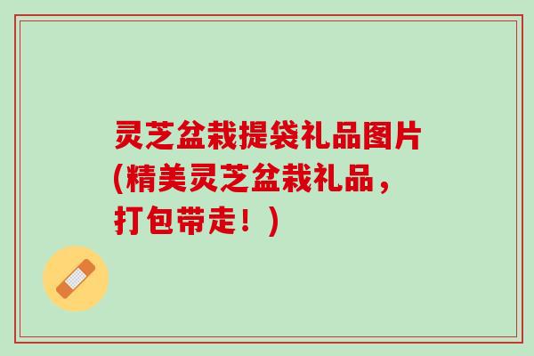 灵芝盆栽提袋礼品图片(精美灵芝盆栽礼品，打包带走！)