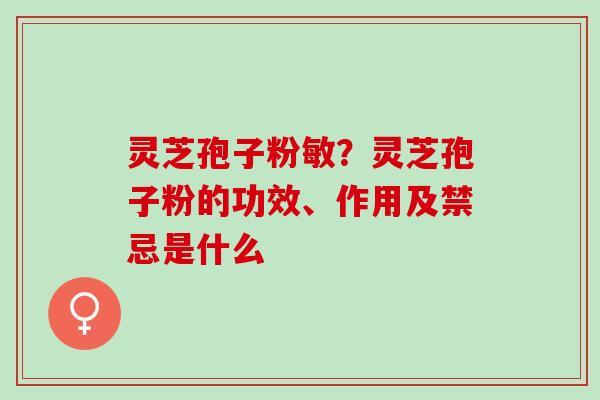 灵芝孢子粉敏？灵芝孢子粉的功效、作用及禁忌是什么