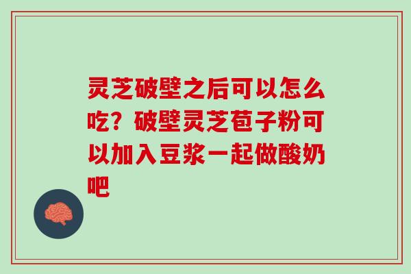 灵芝破壁之后可以怎么吃?破壁灵芝苞子粉可以加入豆浆一起做酸奶吧 灵芝破壁之后可以怎么吃?破壁灵芝苞子粉可以加入豆浆一起做酸奶吧