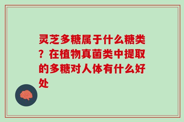 灵芝多糖属于什么糖类？在植物真菌类中提取的多糖对人体有什么好处