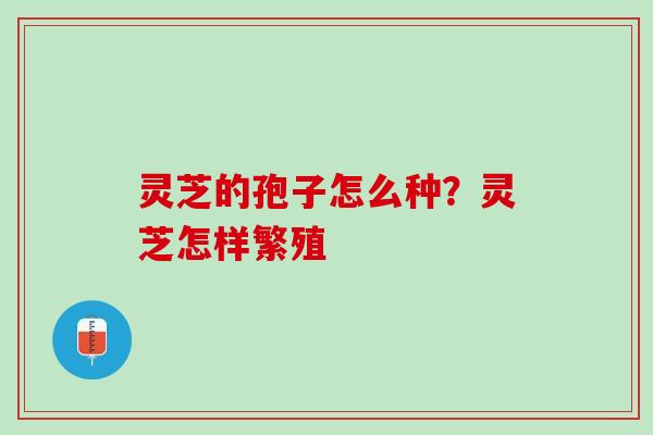 灵芝的孢子怎么种？灵芝怎样繁殖