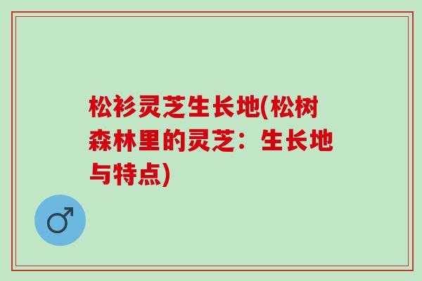 松衫灵芝生长地(松树森林里的灵芝:生长地与特点) 松衫灵芝生长地(松树森林里的灵芝:生长地与特点)