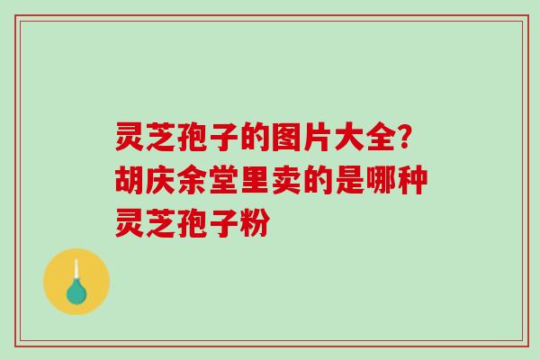 灵芝孢子的图片大全?胡庆余堂里卖的是哪种灵芝孢子粉 灵芝孢子的图片大全?胡庆余堂里卖的是哪种灵芝孢子粉