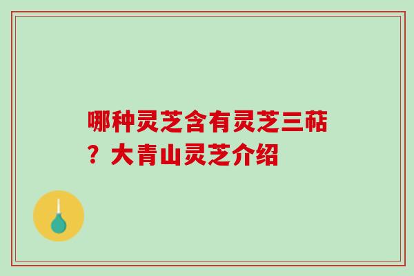 哪种灵芝含有灵芝三萜？大青山灵芝介绍