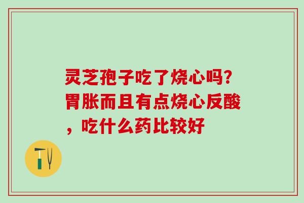 灵芝孢子吃了烧心吗?胃胀而且有点烧心反酸,吃什么药比较好 灵芝孢子吃了烧心吗?胃胀而且有点烧心反酸,吃什么药比较好